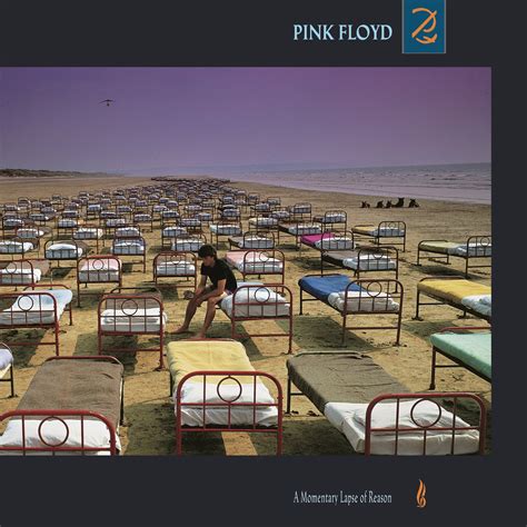 A Momentary Lapse Of Reason Pink Floyd Album The Pink Floyd Hyperbase