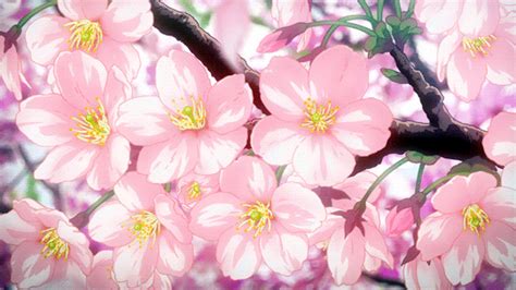 Anime Flower Gif Tumblr