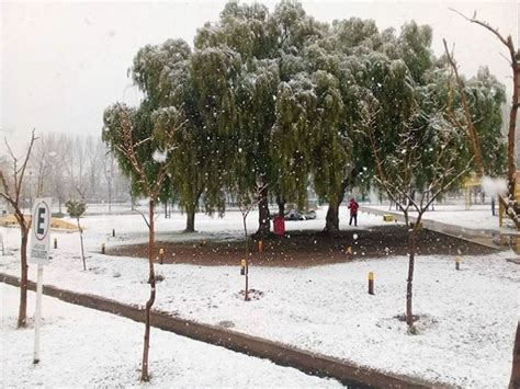 Despu S De A Os Nev En Santa Rosa La Pampa