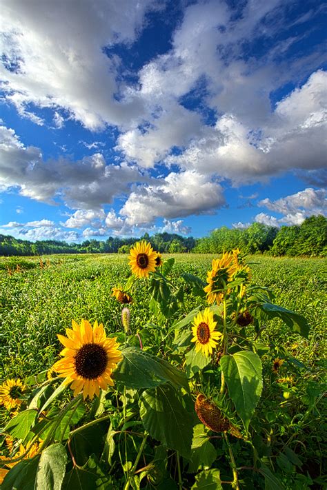 Autumn Is Near Wisconsin Horizons By Phil Koch Phil