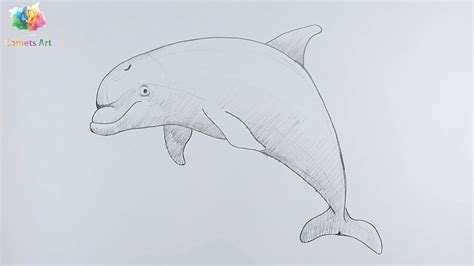 How To Draw Dolphin Step By Step Simple Dolphin Drawing Youtube