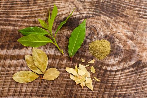Stages Of Making Spices From Fragrant Bay Leaf Stock Image Image Of