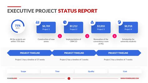 Executive Project Status Report Template Download Now
