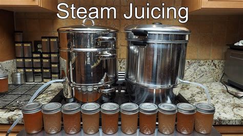 Steam Juicing Grapes Youtube