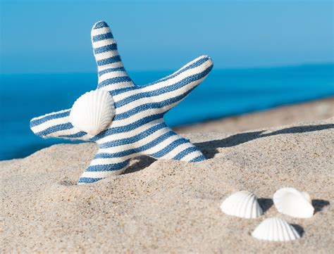 4k 5k Shells Starfish Coast Sea Sand Beach Hd Wallpaper Rare