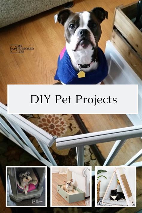 Weekend Diy Pet Projects My Repurposed Life