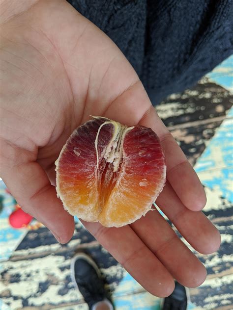 A Symmetrical Color Gradient In A Fruit Mildlyinteresting