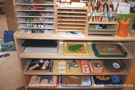 Take A Look At What Is On The Shelves In This Montessori Classroom