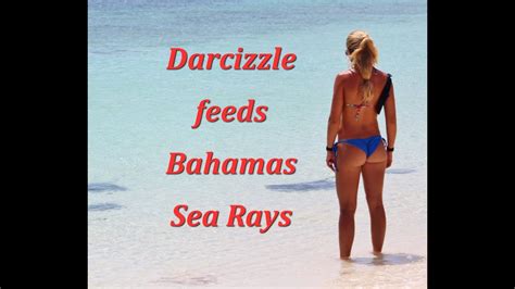 beautiful bahamas bikini girl feeding rays gopro video youtube