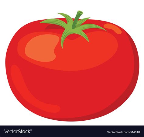 Tomato Royalty Free Vector Image Vectorstock