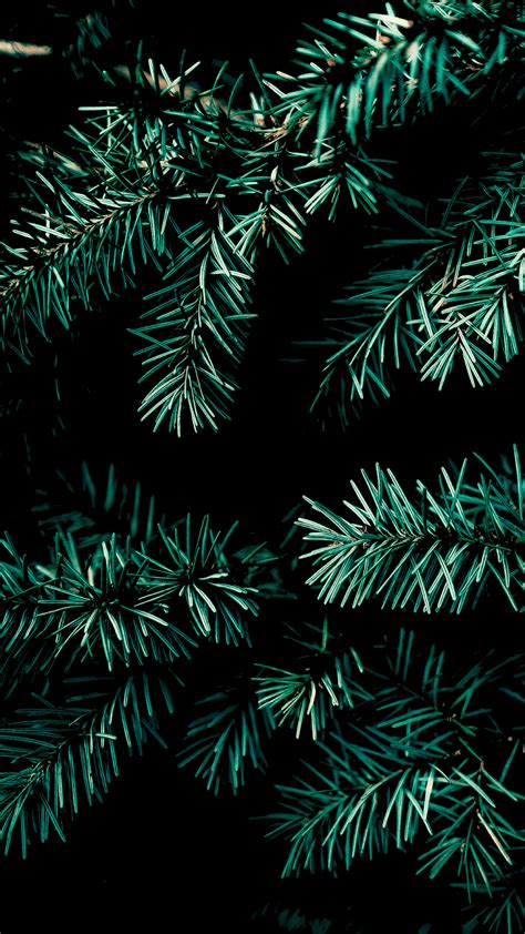 Christmas Vibes Wallpapers Top Free Christmas Vibes Backgrounds