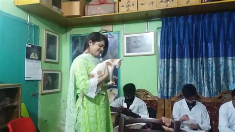 We want you to feel at home, informed, and as ease that you have found the right vet clinic for your feline friends. Deshi cat @ Vet in Dhaka City Pet Doctor in Bangladesh ...