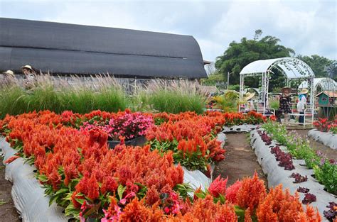 Sehingga taman itu pun dihiasi oleh semua taman yang ada di korea selatan ini sangat indah dan pastinya bersih. Bukan Eropa atau Korea, Taman Keren Ini Ada di Jogja