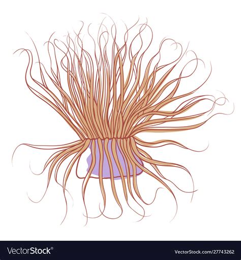Sea Anemone Icon Colorful Wildlife Aquatic Life Vector Image