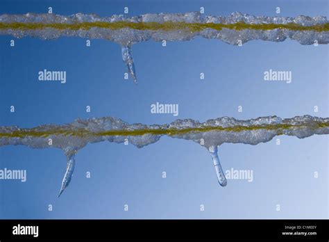 Icicles Ice Drops Frozen Line Sky Blue Winter Water Clear Cool Freeze