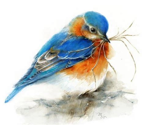 Bluebird Watercolor Archival Print Watercolorarts
