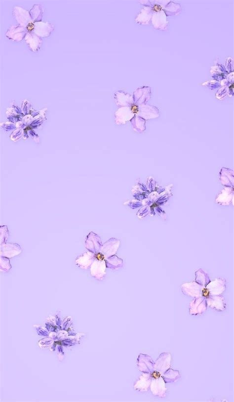 Iphone Aesthetic Purple Lavender Lilac Iphone Aesthetic Purple Aesthetic Background Light