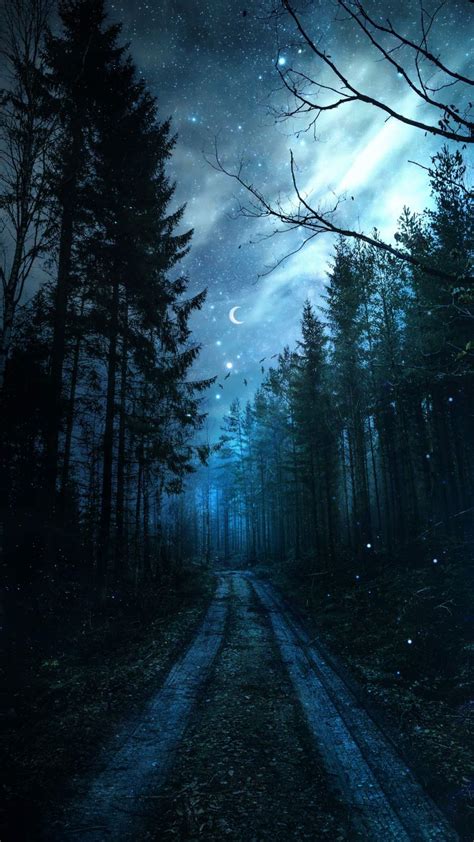 Magical Forest Night Starry Sky Iphone Wallpapers Iphone Wallpapers