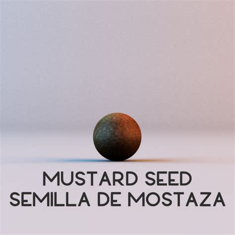 Mustard Seed Social Media Progressive Church Media