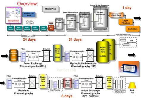 Ppt Downstream Processing In Biopharmaceutical Manufacturing