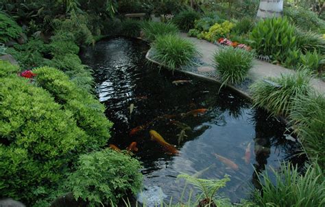 The Ins And Outs Of Indoor Koi Ponds — Koi Story