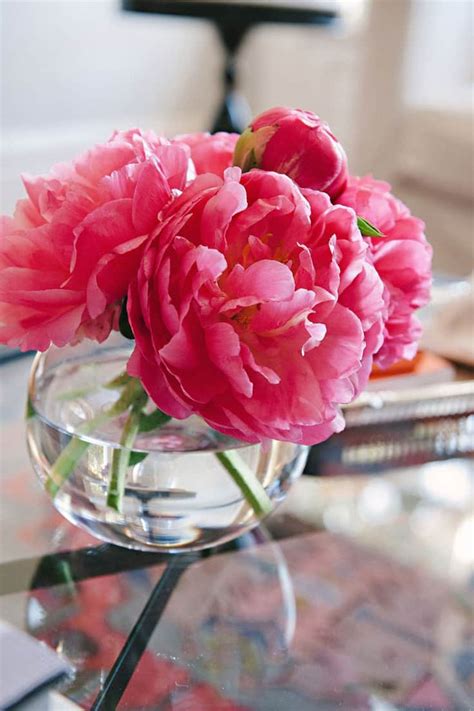 We did not find results for: Fun DéCor Ways to Bring Good Luck to Your Home
