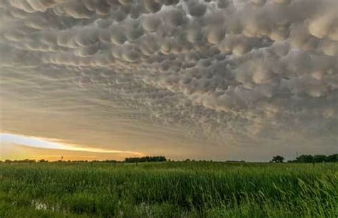 Bubble Clouds Defining Mammatus Clouds And How They Form