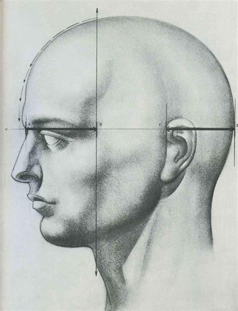 Drawing The Human Head Drawing The Human Head Joshua Nava Arts