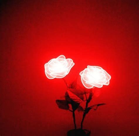 Neon Light Roses Red Aesthetic Red Aesthetic Grunge Dark Red Wallpaper