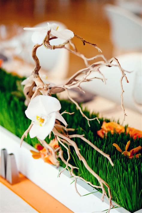 17 Best Images About Wheat Grass Centerpieces On Pinterest