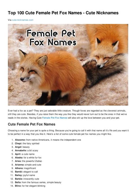 Top 100 Cute Female Pet Fox Names Cute Nicknames By Cute Nicknames Issuu