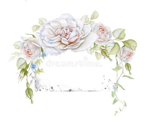 Floral Watercolor Frame With Delicate White Roses And Shabby Chic Stock