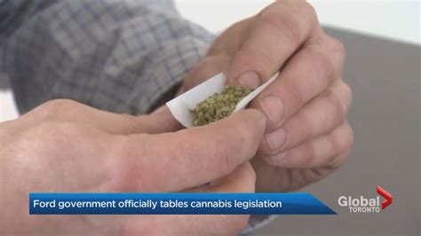 Ontario Government To Launch Awareness Campaign On Cannabis Dangers Rules Globalnewsca
