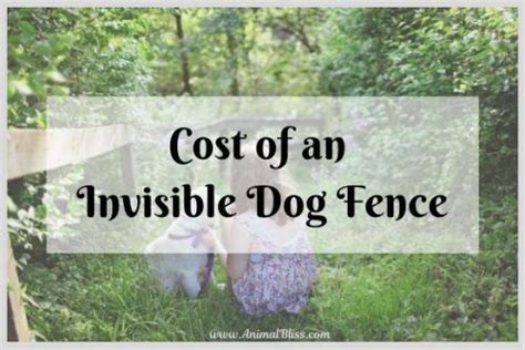 Invisible fence offers complete dog fence and cat fence solutions. How Much Does an Invisible Dog Fence Cost? | Dog fence ...
