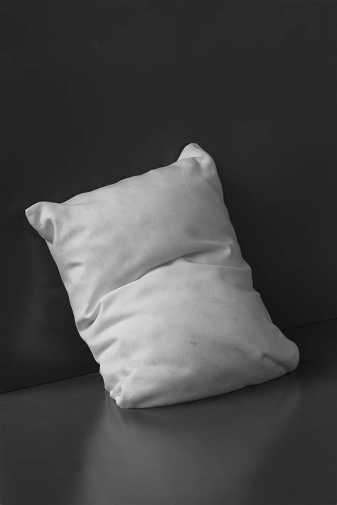 A pillow is a support of the body at rest for comfort, therapy, or decoration. This Pillow Is Hard As Rock - Incredible White Marble ...