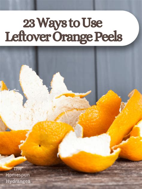 Ways To Use Leftover Orange Peels