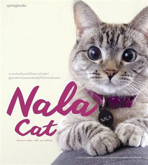 Nalacat On Instagram The First Nala Cat Book 📖📔📙 For More
