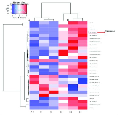 hierarchical clustering analysis of lncrna and microrna expression in download scientific
