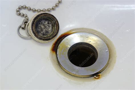 The new metal is mated with the plumbing gasket below. Rust Around Sink Drain - Stock Image - C007/8302 - Science ...