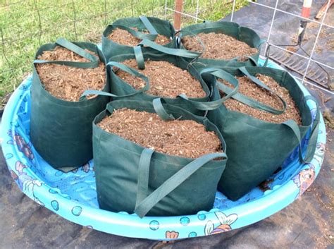 Grow bags are incredibly useful around the garden, and in this video sally nex tells you how to make the most of them. The Ultimate DIY Container Garden: The Verdict Is In | Container gardening, Grow bags, Tomato garden