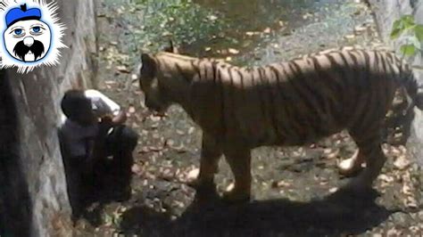 10 Times People Ended Up In Zoo Enclosures Huffington News