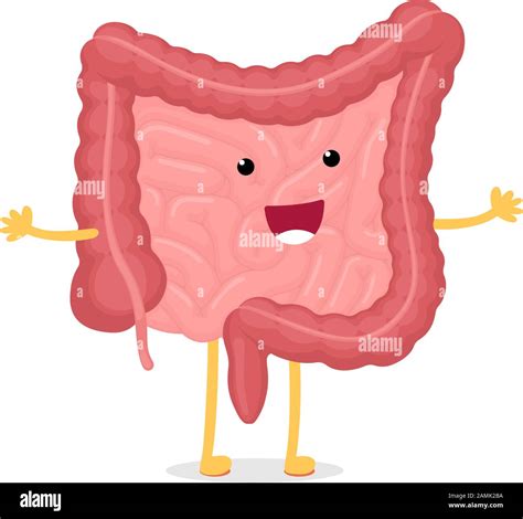 Cute Cartoon Healthy Intestines Smiley Character Abdominal Cavity