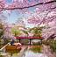 Japan Tours & Vacation Packages 2021 2022  Zicasso