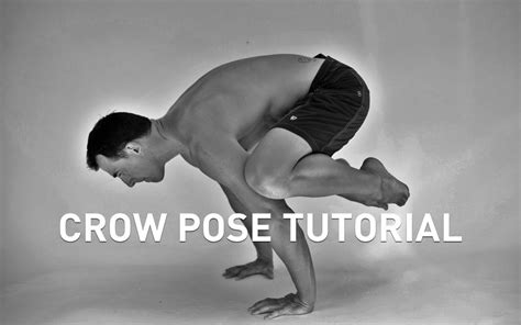Crow Pose Tutorial Crow Pose Poses Bodyweight Workout