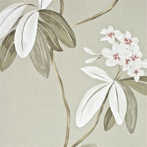 Free Download Oleander Floral Wallpaper Contemporary Large Floral Print