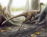 Photos of New Dinosaur Fossil Discovered In China