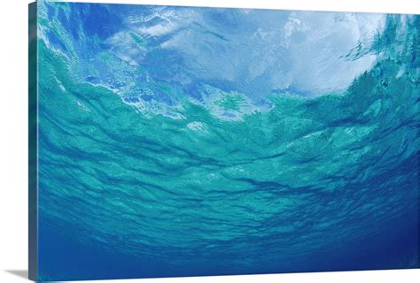 Underwater Ocean Looking Upward To Surface Blue Sky Reflection Wall