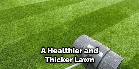 How To Make My Lawn Greener And Thicker 11 Simple Steps