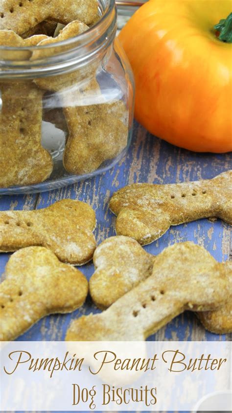 Life With 4 Boys Pumpkin Peanut Butter Homemade Dog Treats Recipe