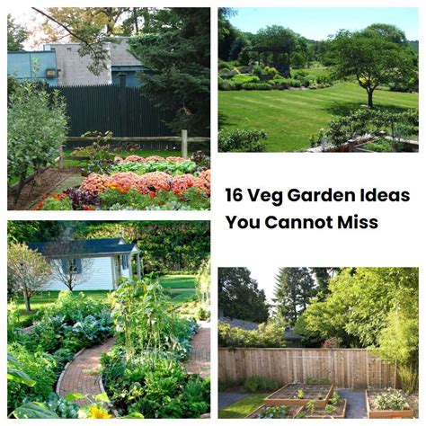 16 Veg Garden Ideas You Cannot Miss Sharonsable